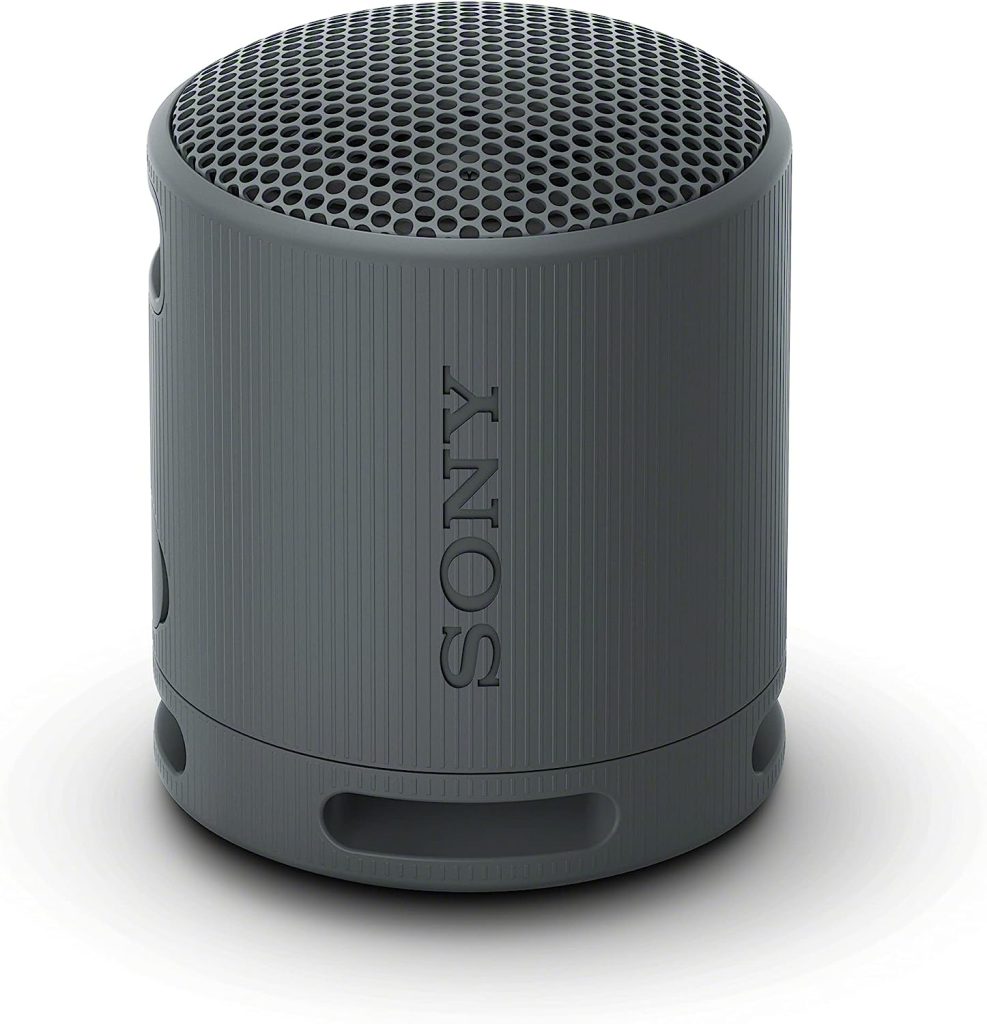 sony srs xb100 wireless bluetooth portable speaker